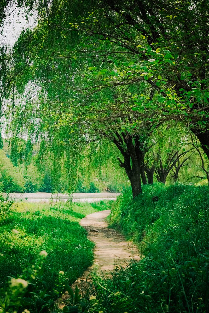 5월에는 서래섬으로 가자